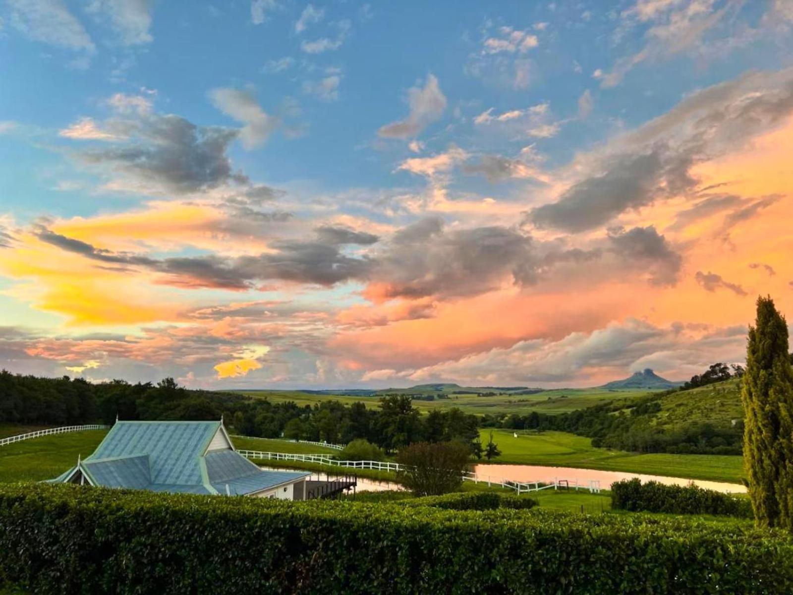 Oaklands Farm Stay Van Reenen 外观 照片
