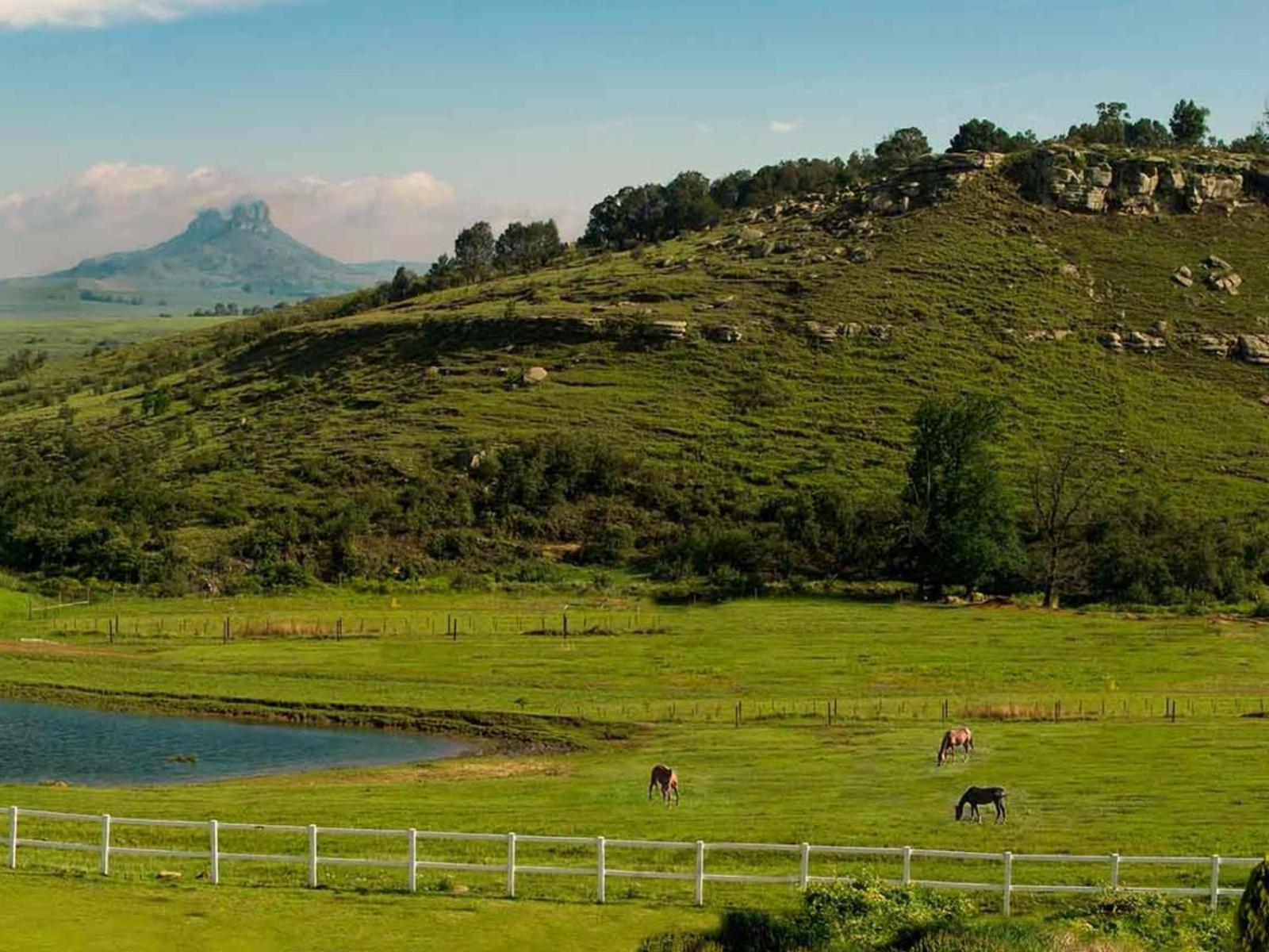 Oaklands Farm Stay Van Reenen 外观 照片